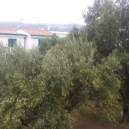 Verde Mare Beach Holidays *